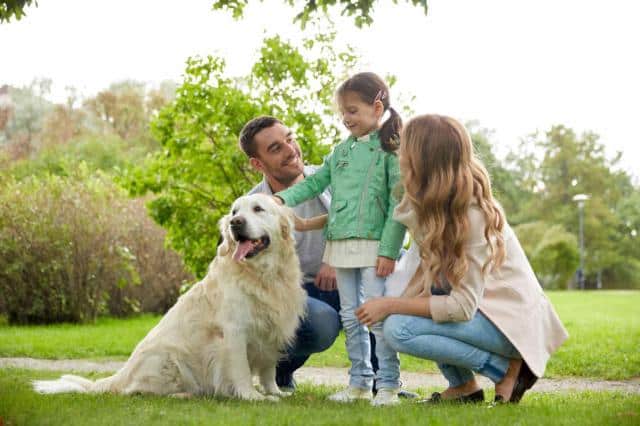 Faire Garder Son Chien En Cas D Hospitalisation