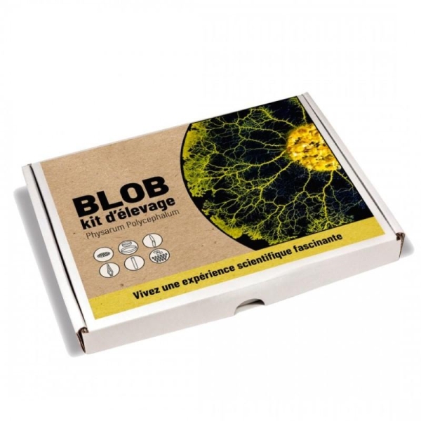 Kit élevage blob pour enfants