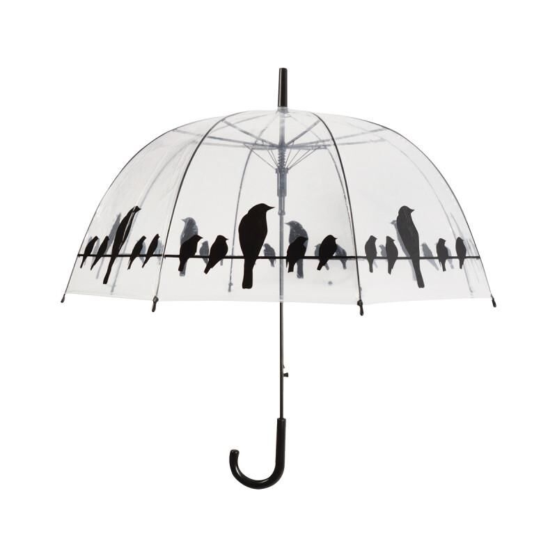 Parapluie transparent oiseaux