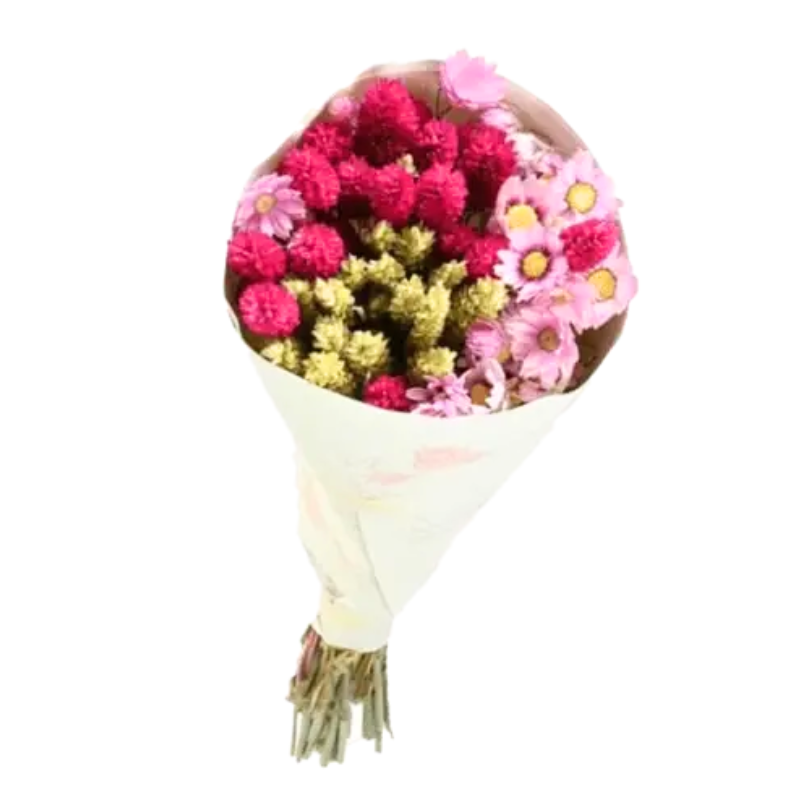 Bouquet de fleurs séchées Dinky pink 50 cm