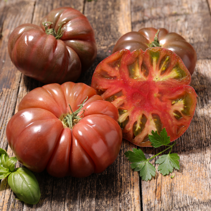 Plant Tomate noire de crimée en pot