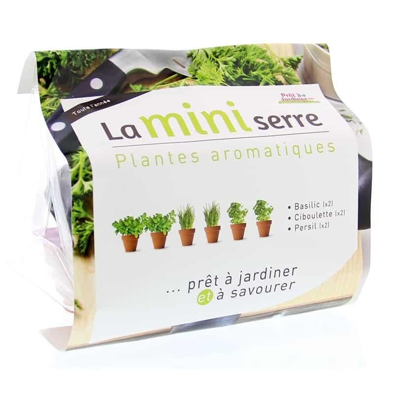 Mini serre herbes aromatiques