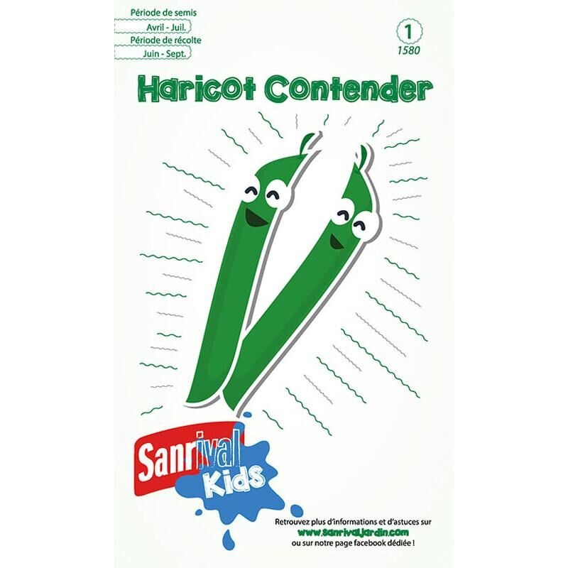 Graines Haricot Contender pour Enfants