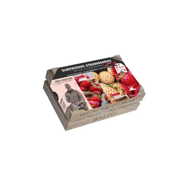 Kit Fraises en caisse bois