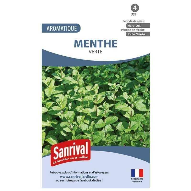 Graines Menthe Verte "Menthas Viridis"