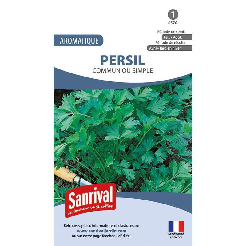 Graines de Persil Commun