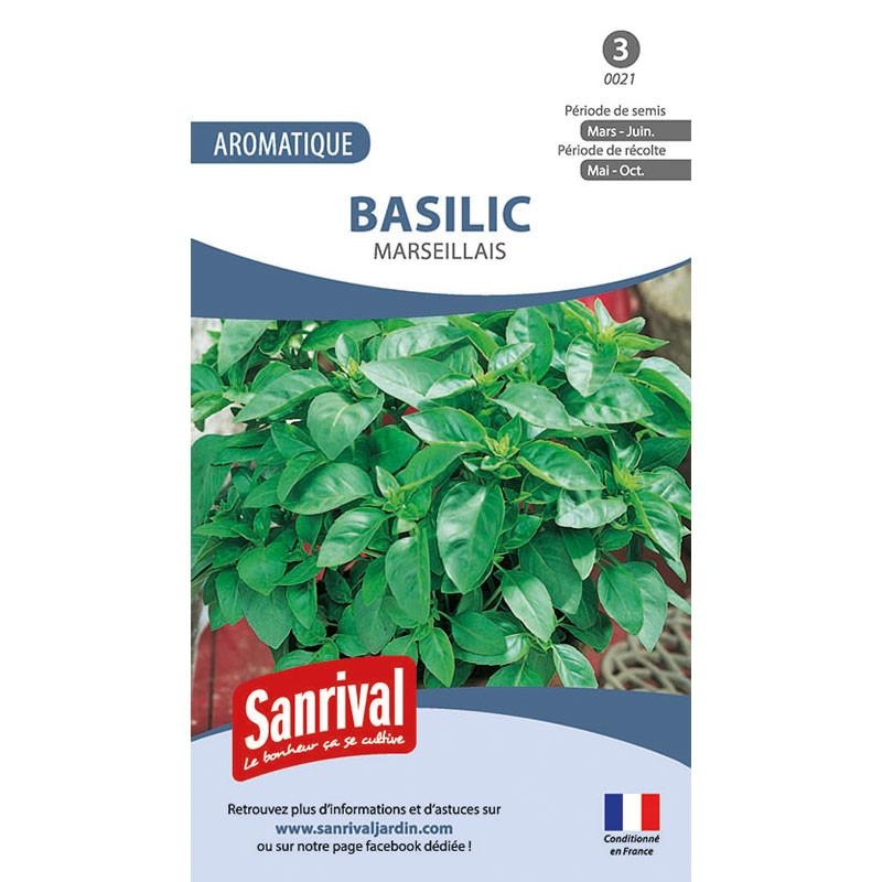 Graines Basilic marseillais