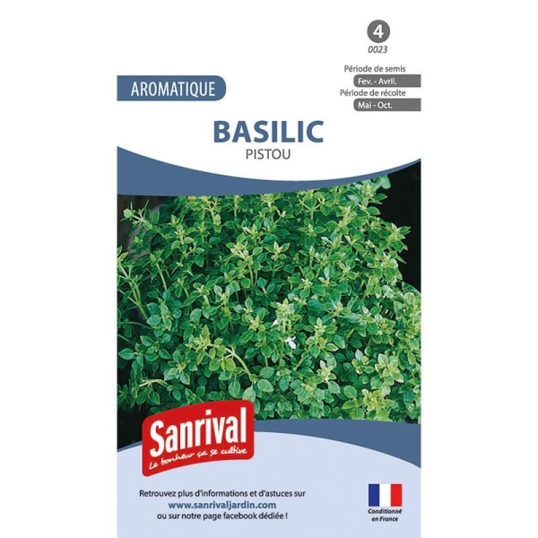 Graines de Basilic pour un délicieux Pistou