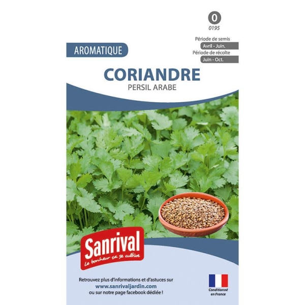 Graines coriandre et persil arabe