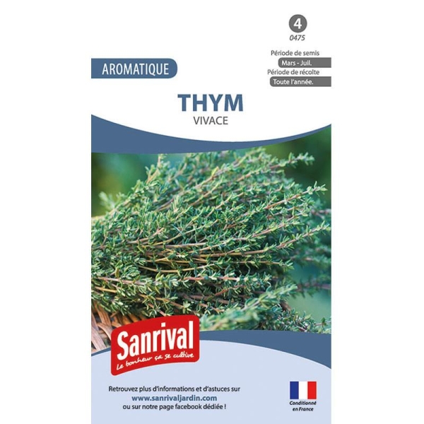 Graines aromatiques thym vivaces