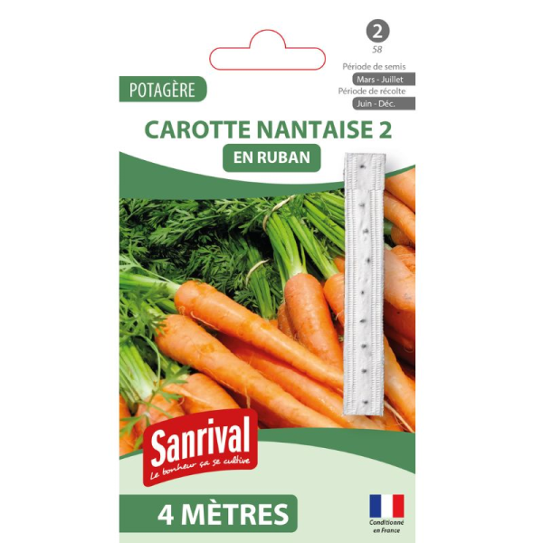 Graines Carotte Nantaise 2 Ruban