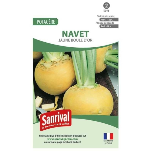 Graines Navet Jaune Boule d'Or