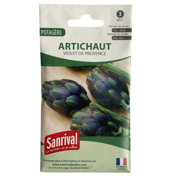 Graines d'Artichaut Violet