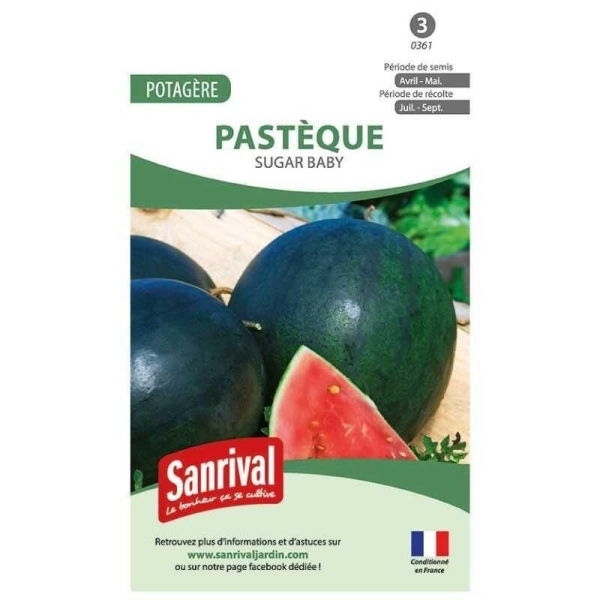 Graine Pastèque Sugar Baby (Melon d'Eau)