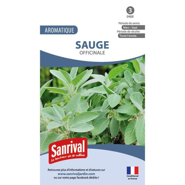 Graines Sauge officinale