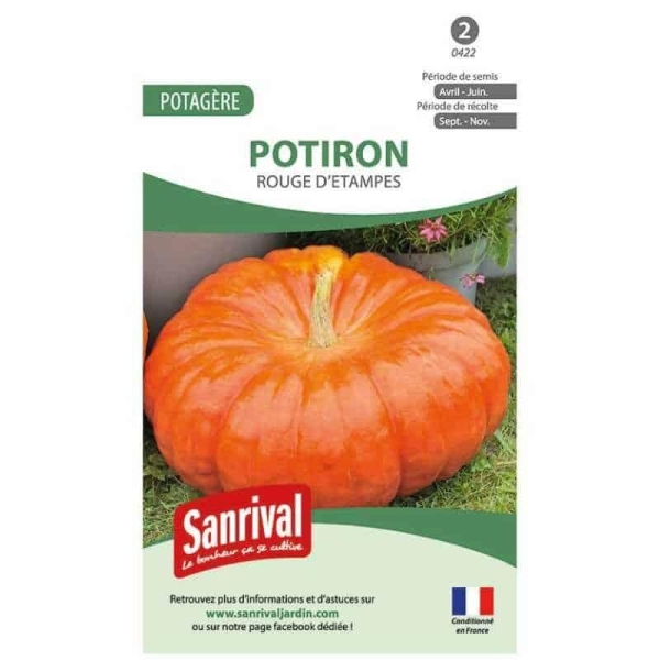 Graines de potiron rouge d'étampes