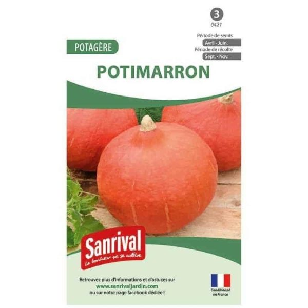 Graines potimarron