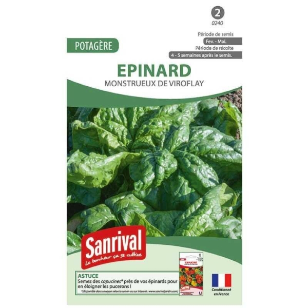 Graines épinard monstueux de Viroflay