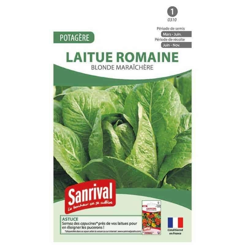 Graines Laitue Romaine