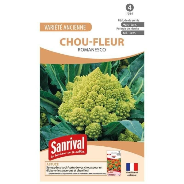 Graines de Chou Romanesco : Plantez et Cueillez Vos Propres Légumes !