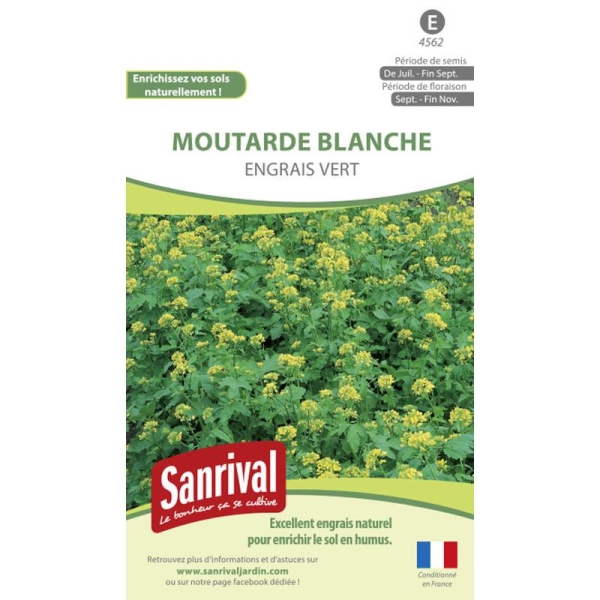 Graines Moutarde Blanche