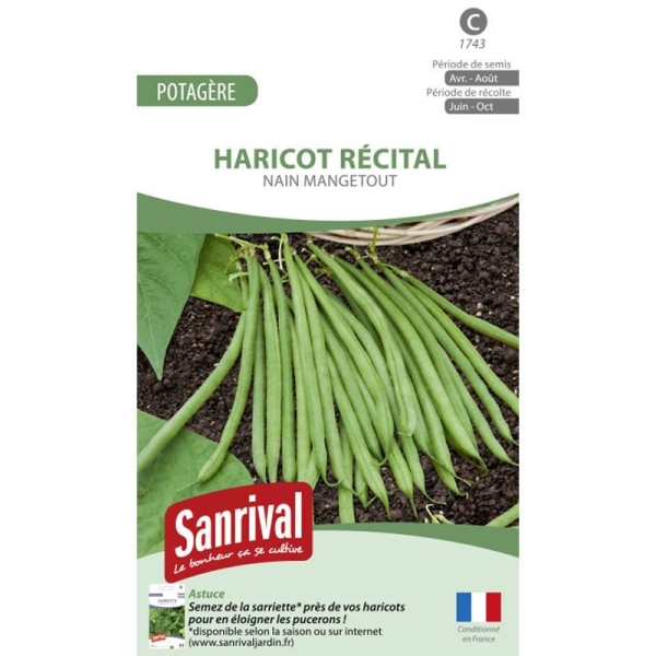 Graines Haricot Nain mangetout Casdantel