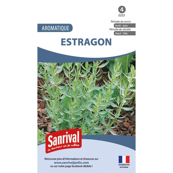 Graines aromatiques estragon