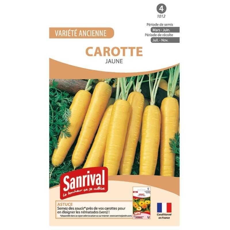 Graines de Carotte Jaune