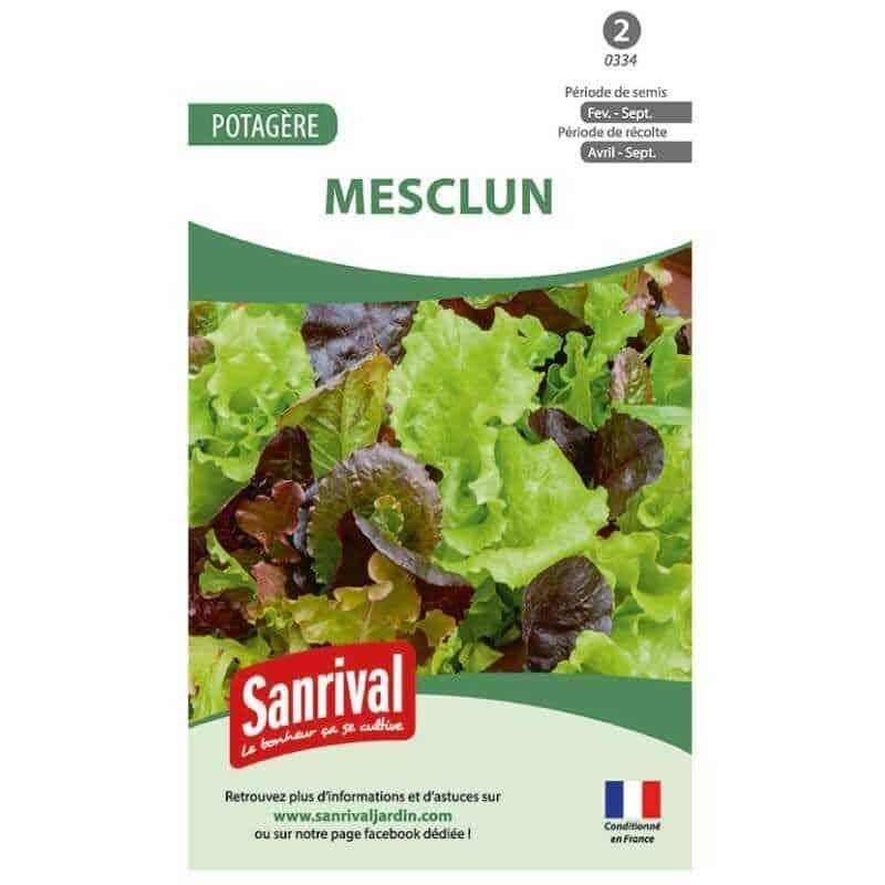 Graines de salade mesclun