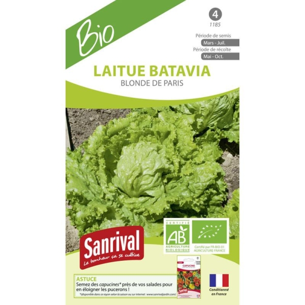 Graines laitue batavia de Blonde de Paris AB Bio