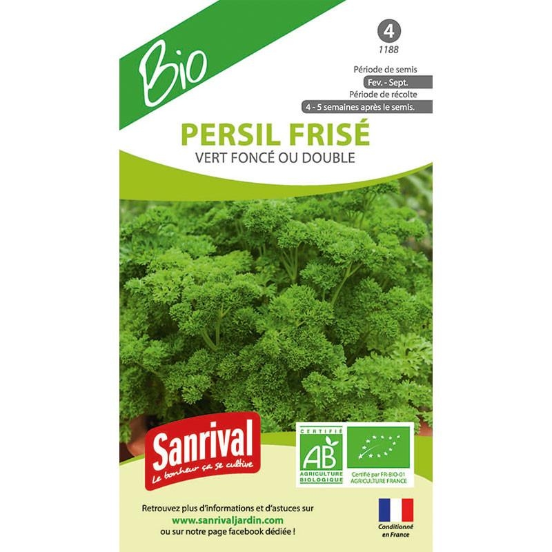 Graines Persil Frisé BIO vert foncé ou Double