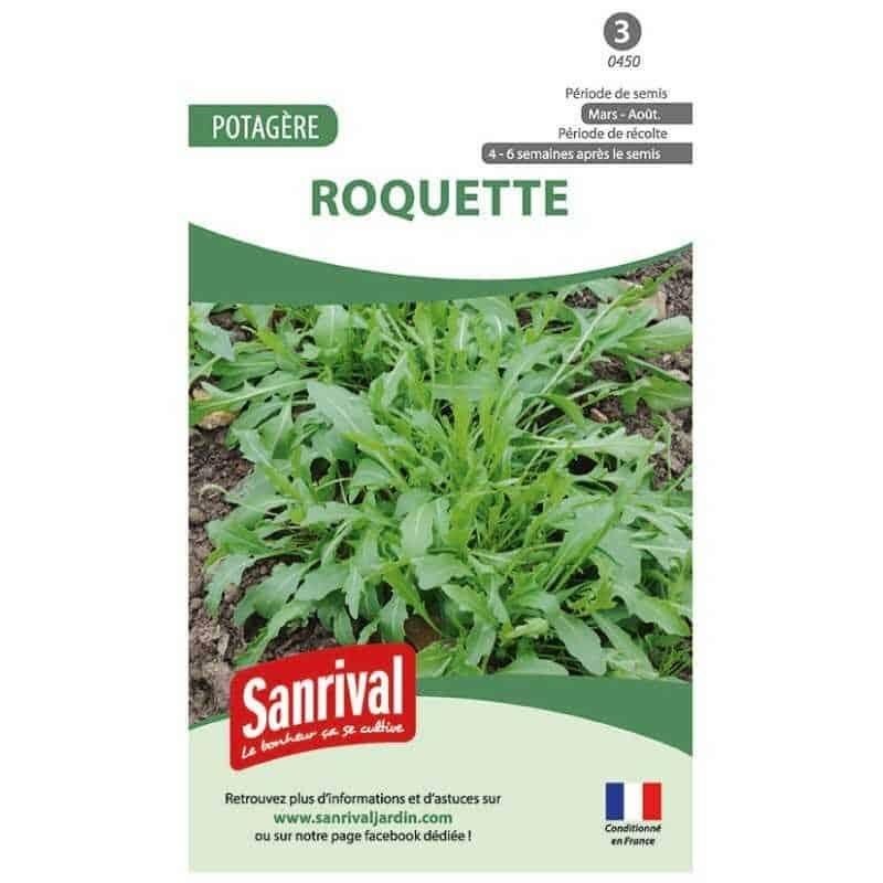 Graines de roquette