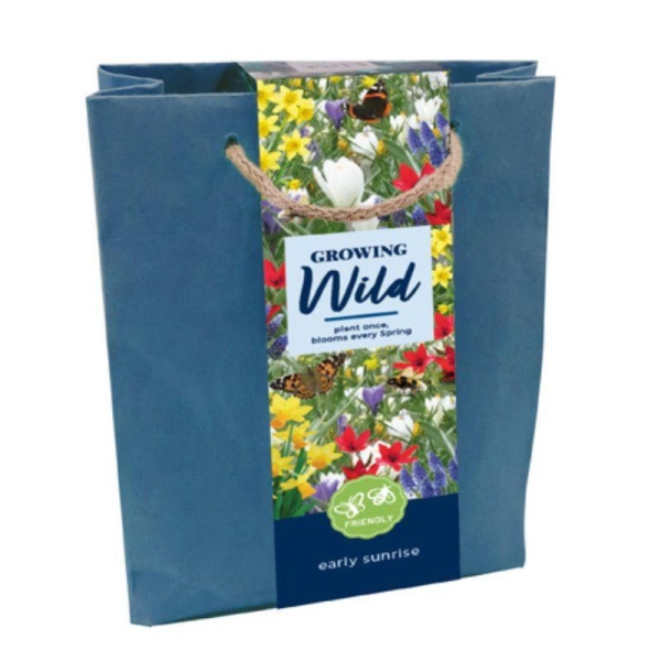 Assortiment 50 bulbes de fleurs sauvages