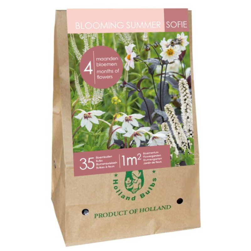 Sac Bulbes fleurs été champêtre