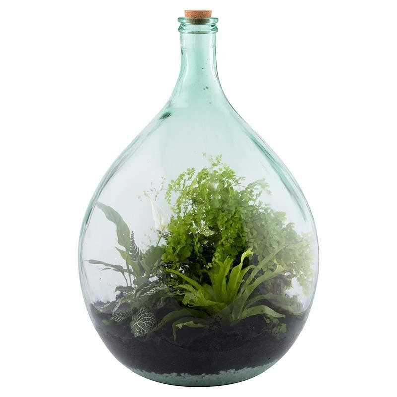 Kit terrarium Plante complet DIY 55L