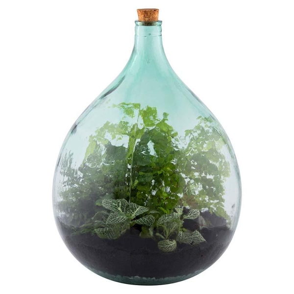 Kit terrarium Complet à faire soi-même 35L