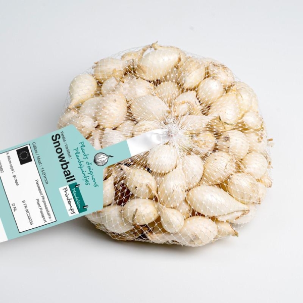 Snowball (blanc) Bulbes d'Oignons a repiquer 500gr