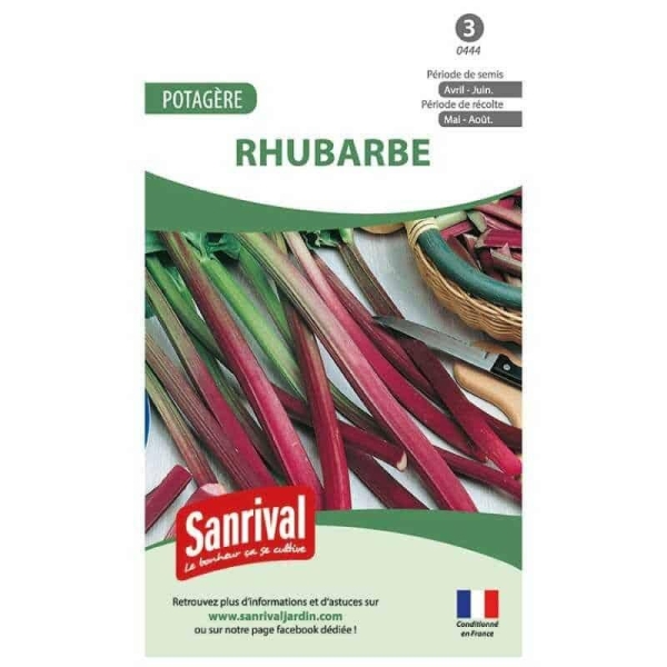 Graines potagères de rhubarbe