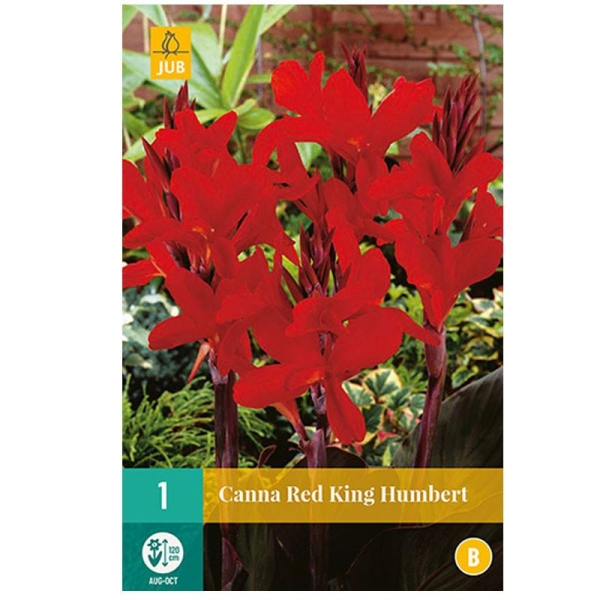 1 CANNA RED KING HUMBERT