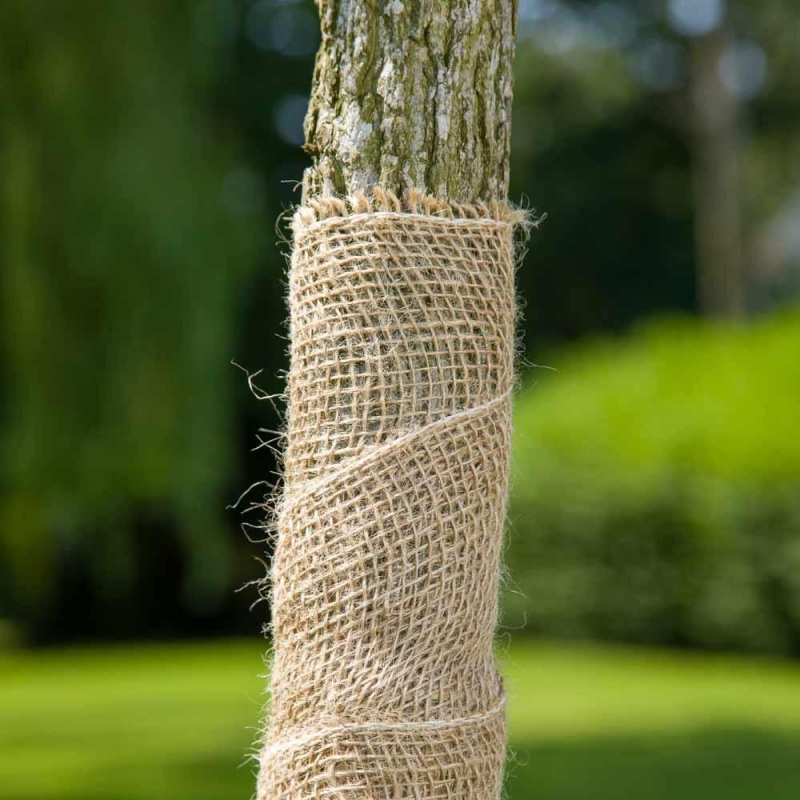 Bande de Jute L:20cm