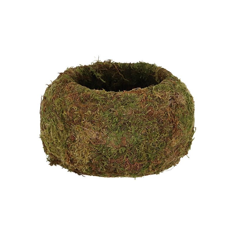 Kokedama boule de mousse 9 cm