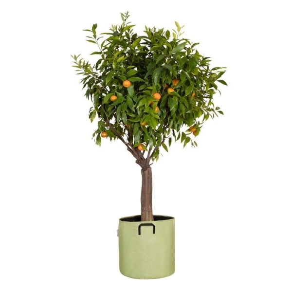 Pot de plantation respirant 40 cm Vert