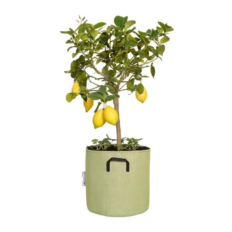 Pot de plantation respirant 30 cm Vert