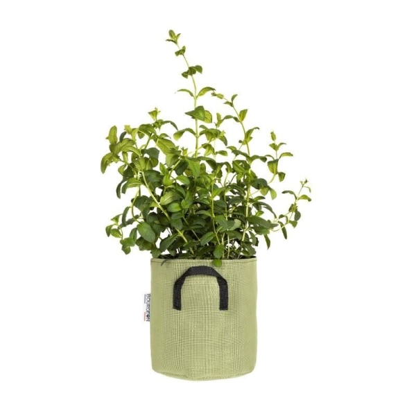 Pot de plantation respirant 20 cm Vert