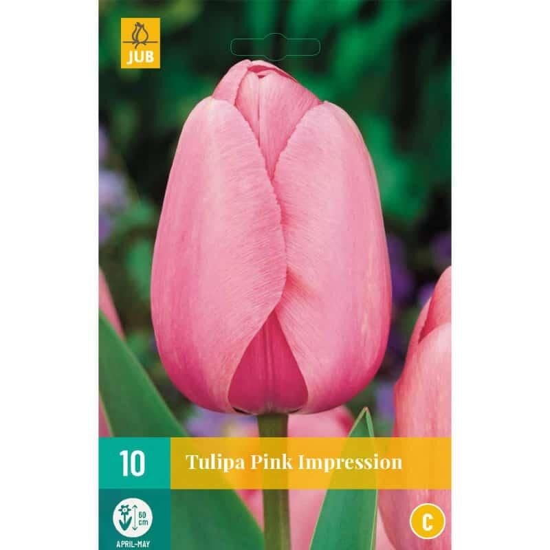 10 Tulipes Pink Impression