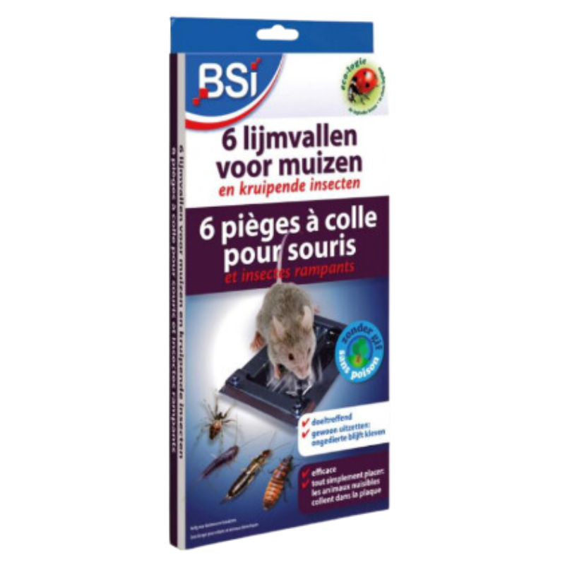 6 pièges à colle pour souris