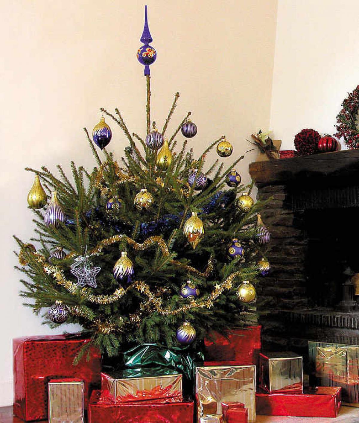 Quelle décoration pour mon sapin de Noël ? Nos conseils et