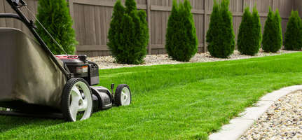 4 secrets pour bien vivre votre pelouse - Réussir le gazon : implanter,  entretenir, rénover une pelouse en semant le bon gazon