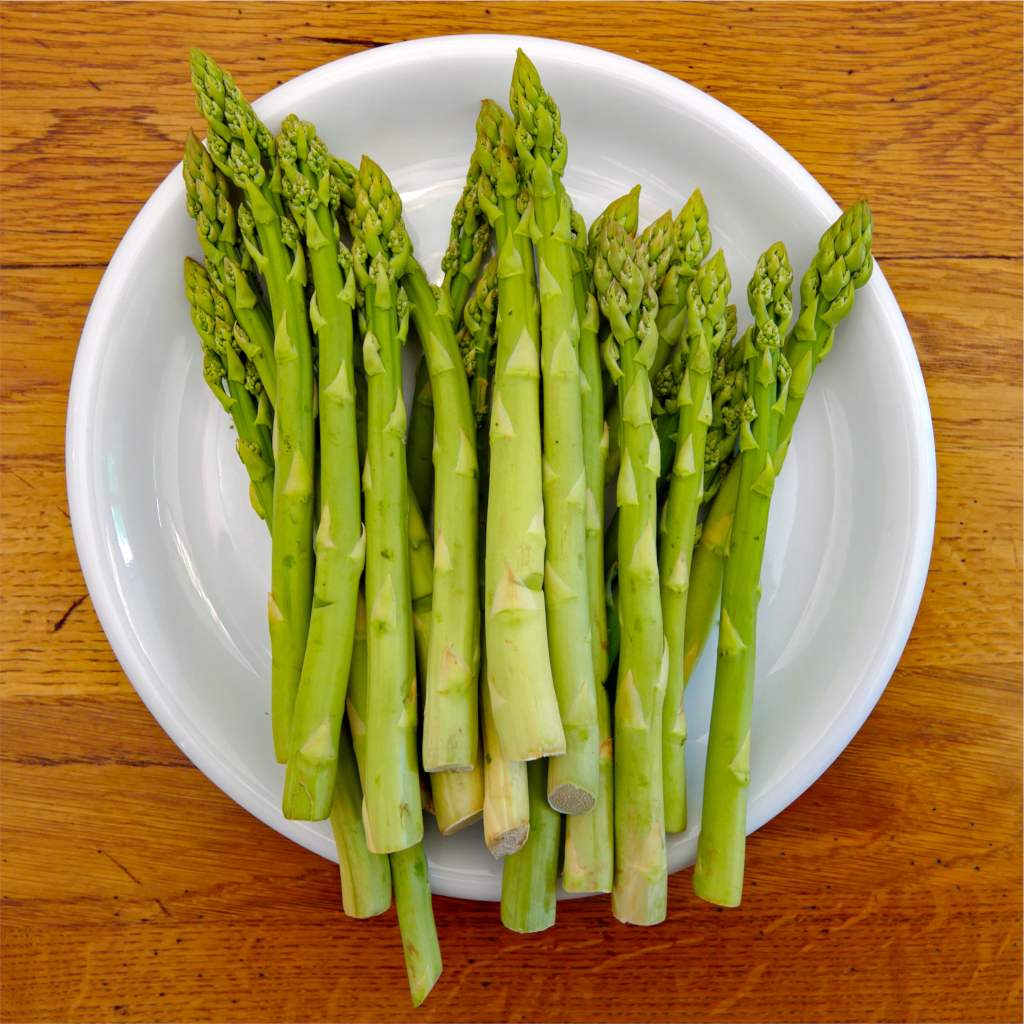 Asparagus Plant Images