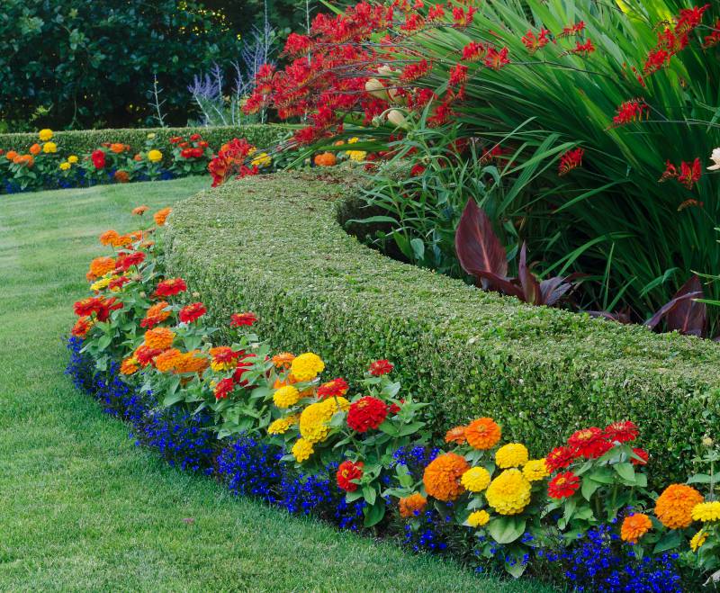 https://www.jardiner-malin.fr/wp-content/uploads/2020/06/bordure-jardin-gazon-pelouse.jpg